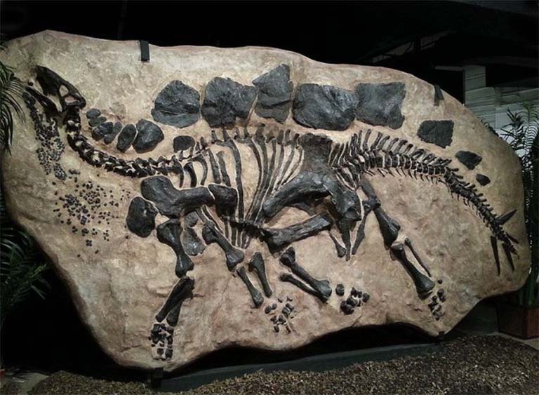恐龙考古桌厂家告诉你什么是恐龙