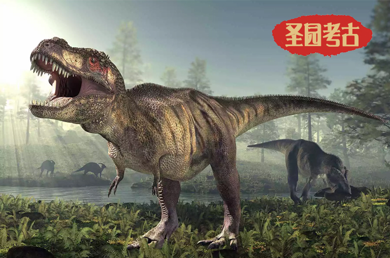 益智恐龙考古桌厂家告诉你霸王龙与三角龙哪个更厉害