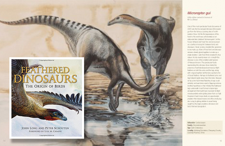 恐龙研究爱好者不应缺少的十本最佳恐龙书籍（上）