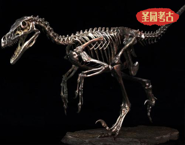 世界上名的猛禽的化石历史-迅猛龙是如何被发现的