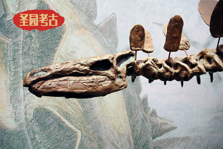 古生物学恐龙研究史上大的失误（上）
