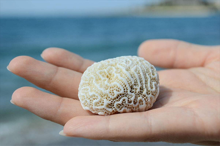 儿童淘矿工场小常识