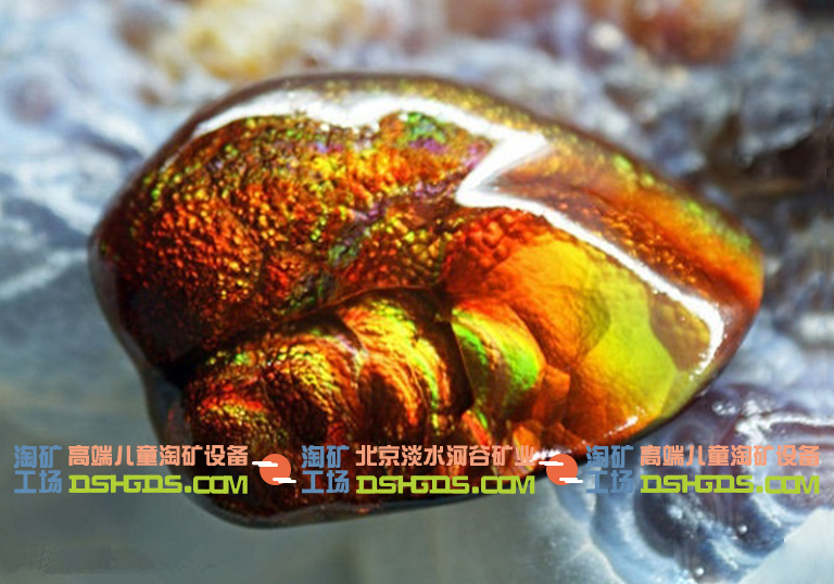儿童淘矿科普.jpg 儿童淘矿科普