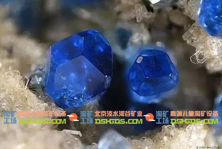 儿童淘矿科普.jpg 儿童淘矿科普