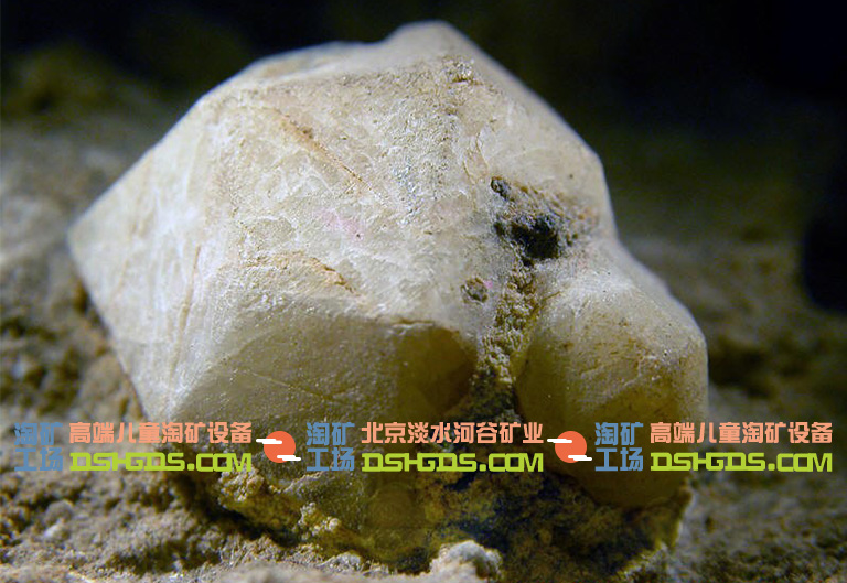儿童淘矿科普.jpg 儿童淘矿科普