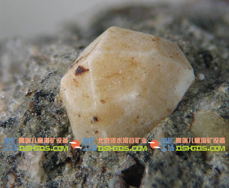 儿童淘矿科普.jpg 儿童淘矿科普