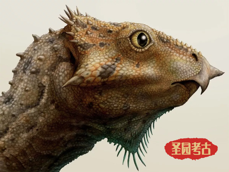 恐龙考古模型