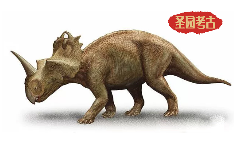 恐龙考古模型