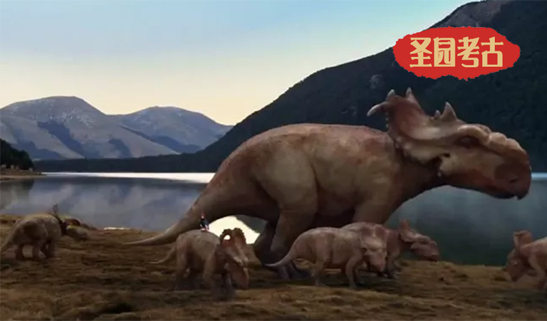 恐龙考古模型