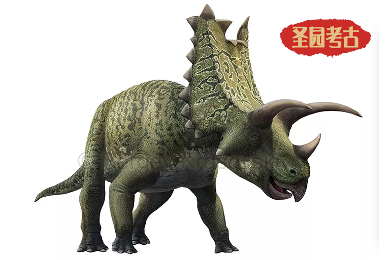 恐龙考古模型
