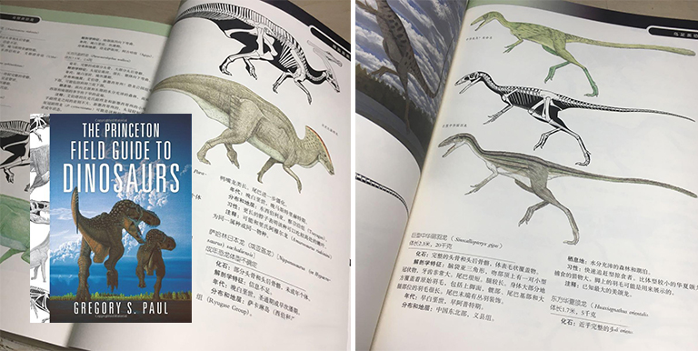 恐龙考古科普