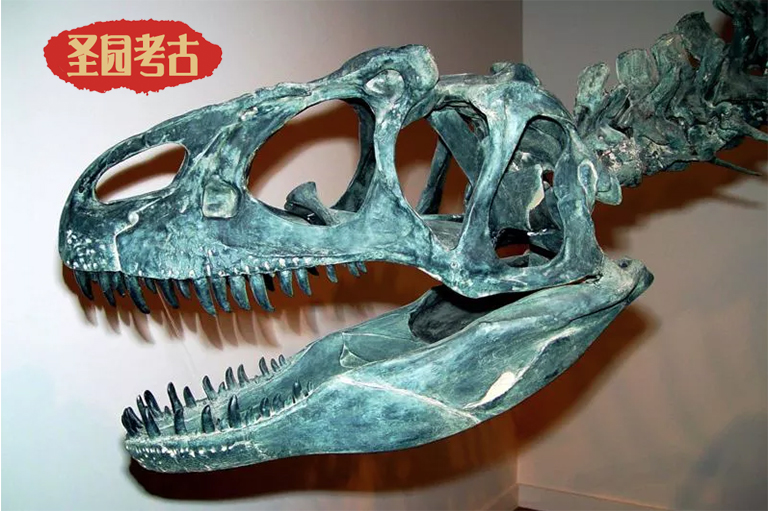 恐龙考古模型