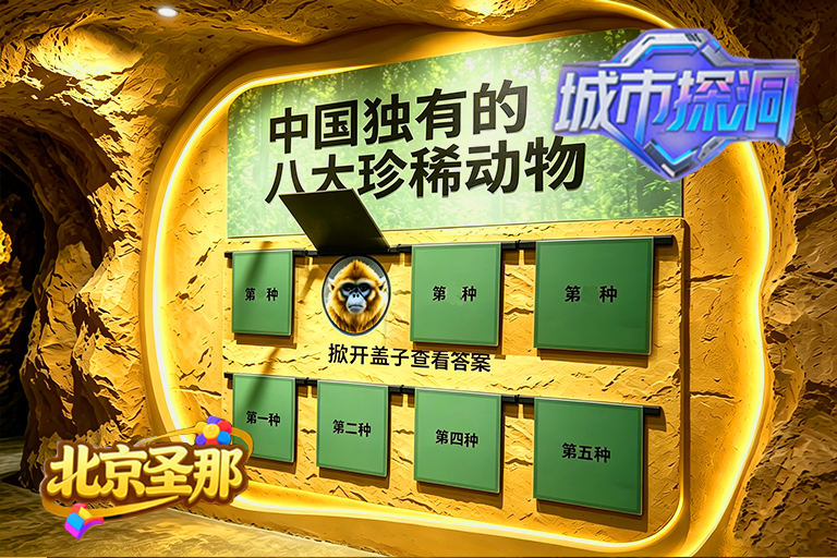 城市探洞.jpg 城市探洞